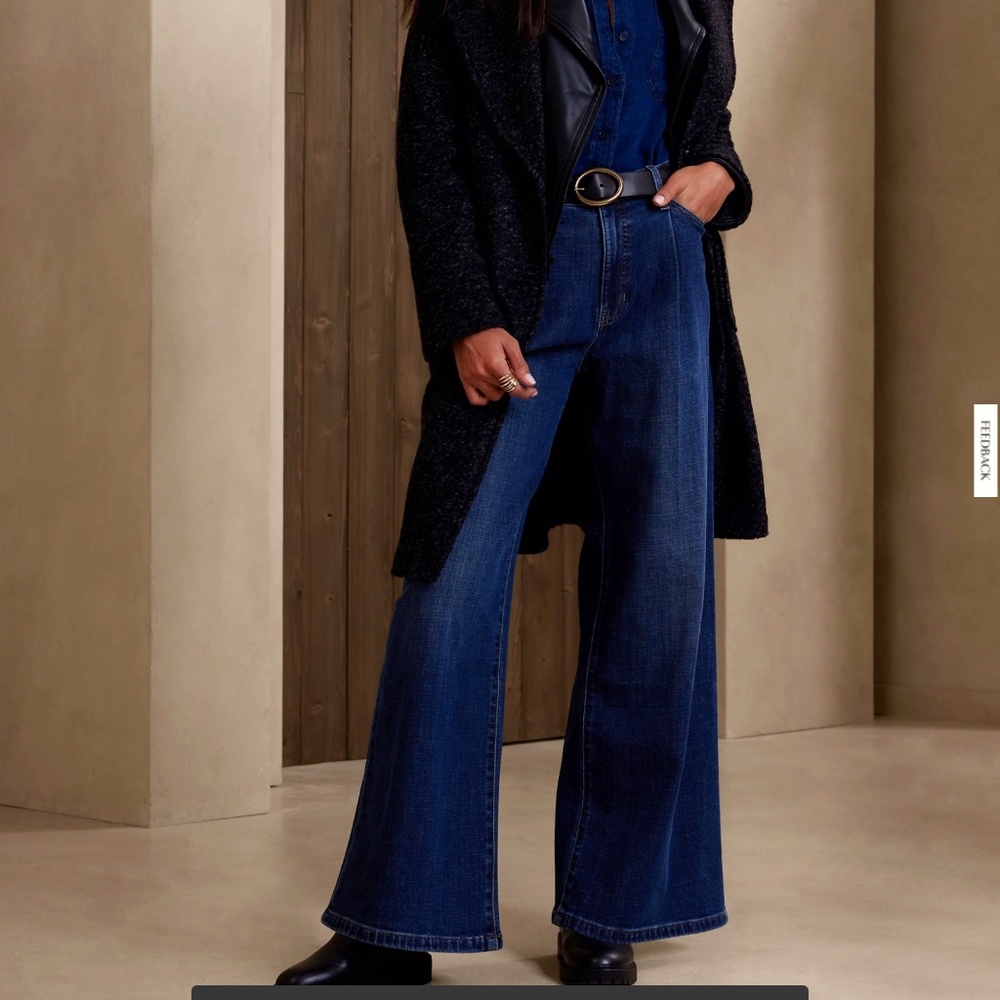 Banana Republic Pleated Wide Leg Jean